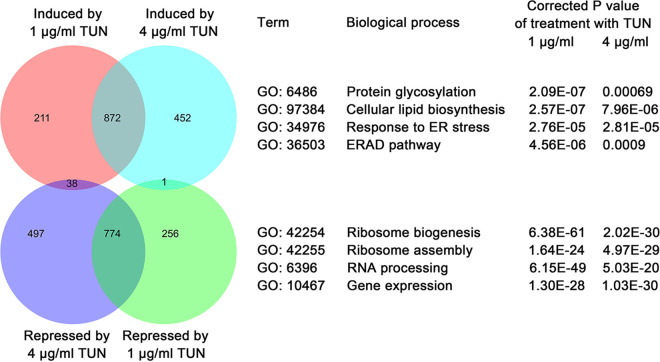 FIG 3