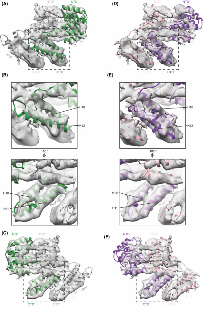 Fig. 4