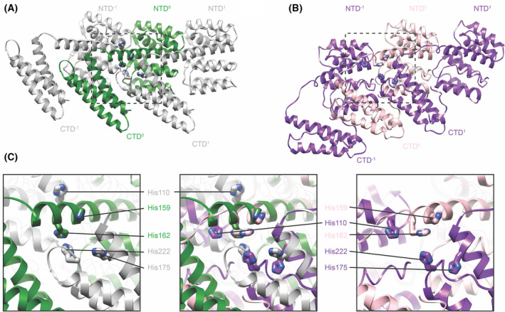 Fig. 3