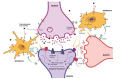 Fig. (1)