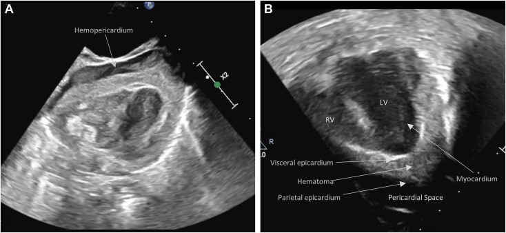 Figure 3