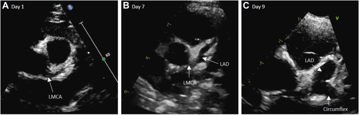 Figure 1