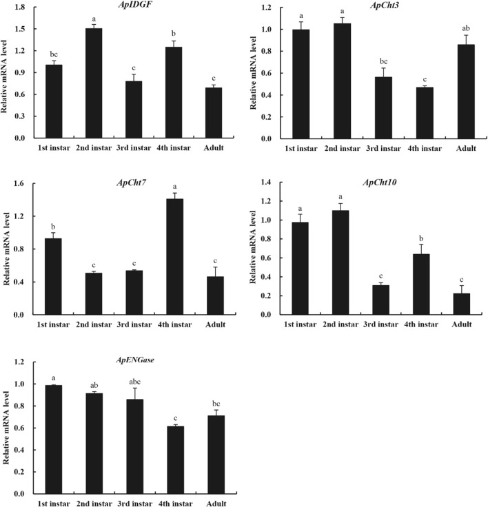 FIGURE 4