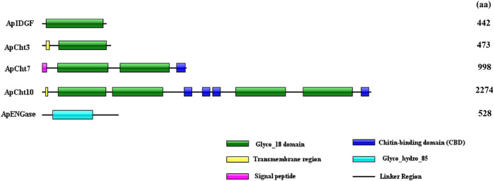 FIGURE 2