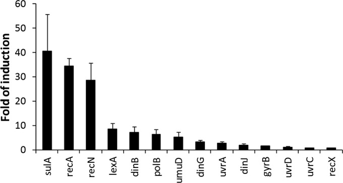 FIG 1