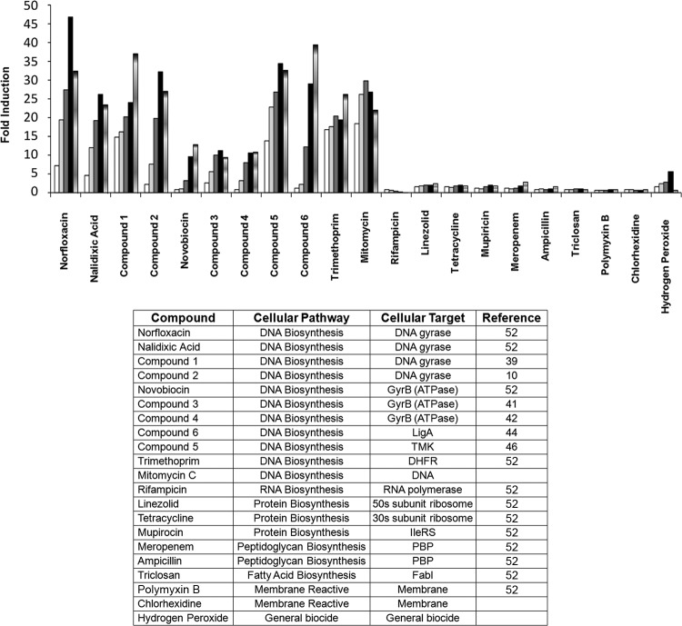 FIG 2