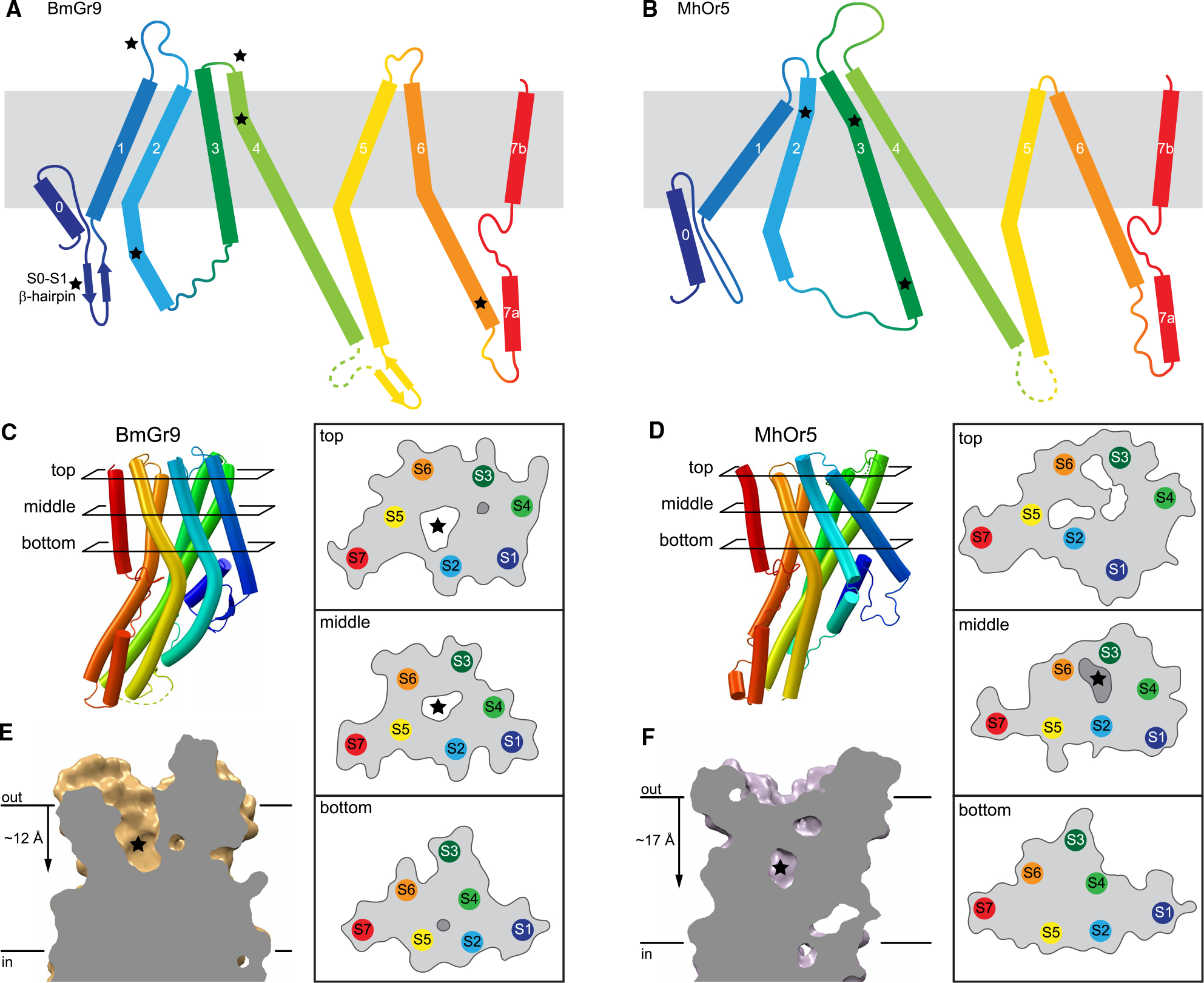 Figure 2.