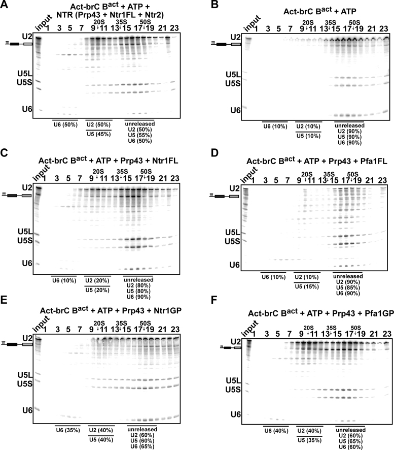 Figure 5.