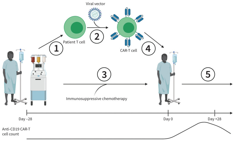 Figure 1: