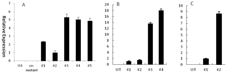 Figure 4