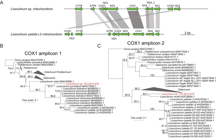 FIG 4 