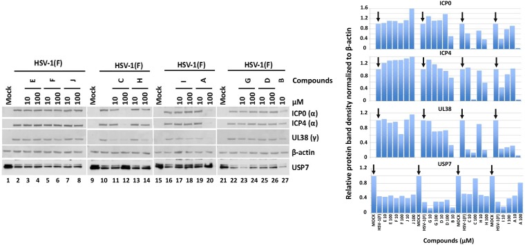 FIG 4