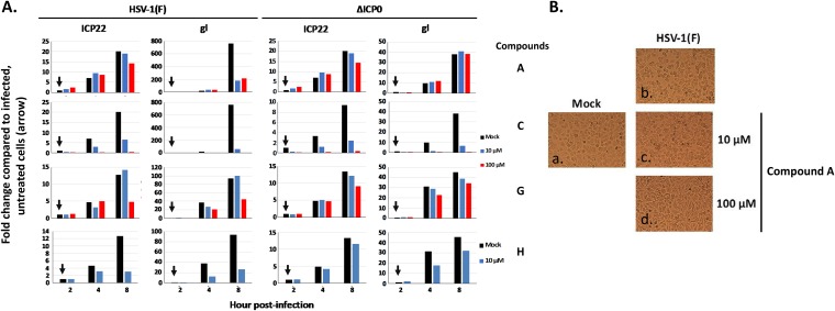 FIG 6