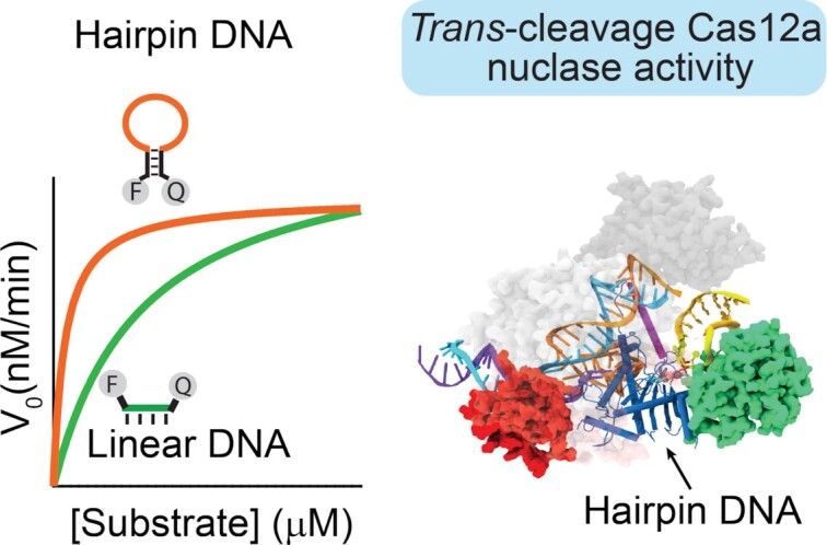 Graphical Abstract