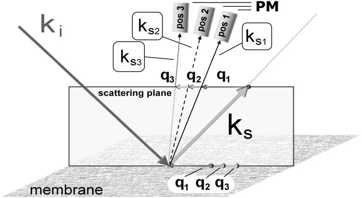 FIGURE 3