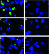 FIG. 7.