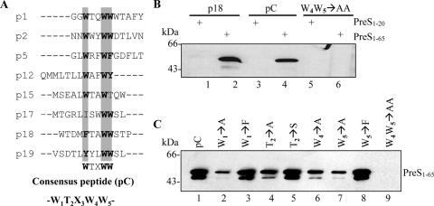 FIG. 3.