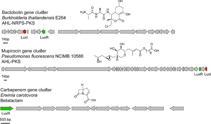 FIG 1 