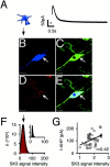 Fig. 11.