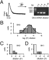 Fig. 8.