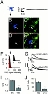 Fig. 12.