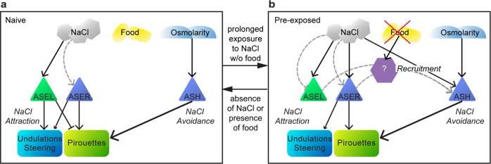 Fig. 10