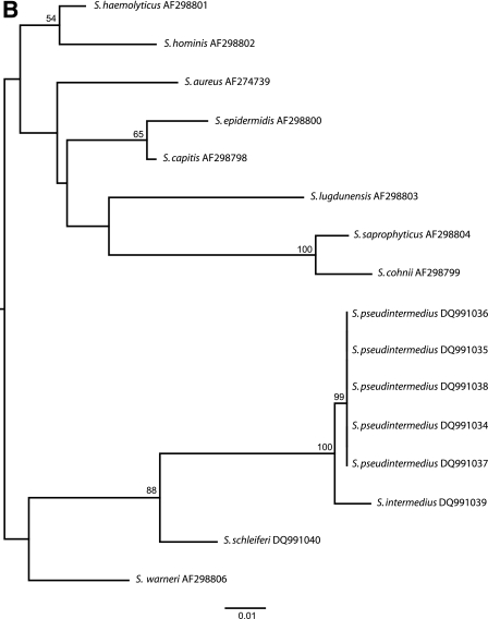 FIG.1.