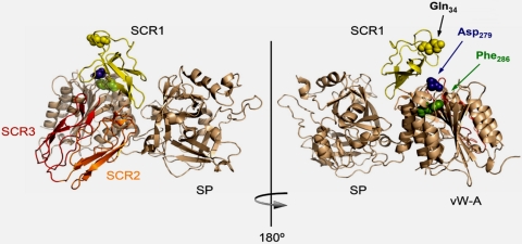 Fig. 6.