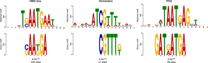 Figure 6—figure supplement 3.