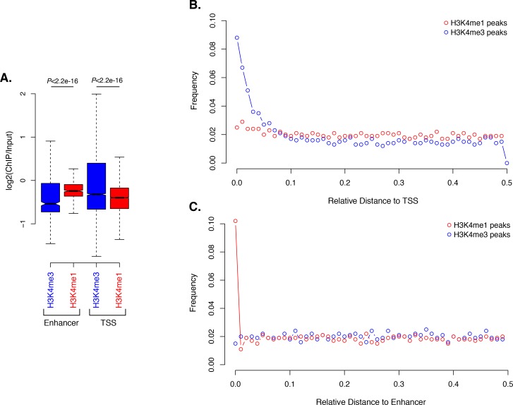 Figure 6—figure supplement 1.