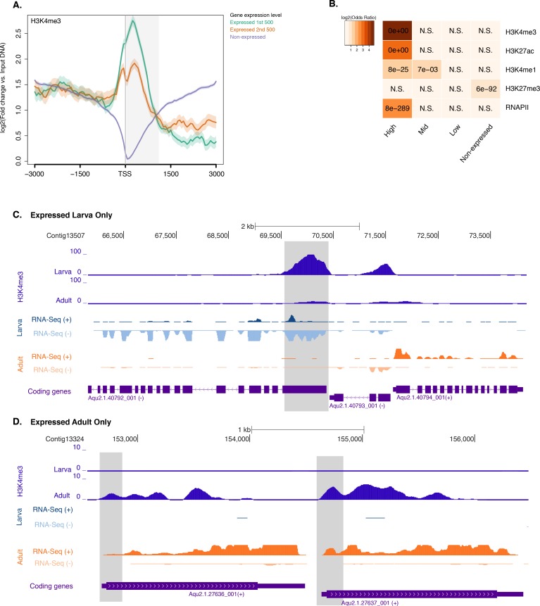 Figure 2—figure supplement 2.