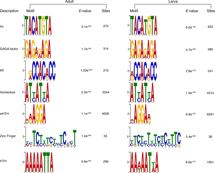 Figure 4—figure supplement 1.