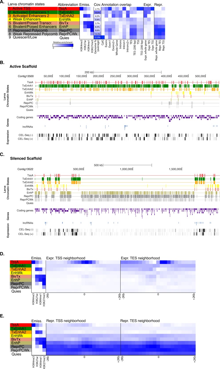 Figure 1—figure supplement 4.