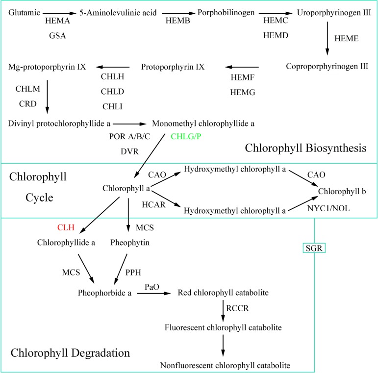 Fig 6