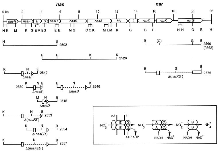FIG. 1
