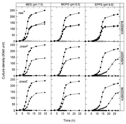FIG. 3