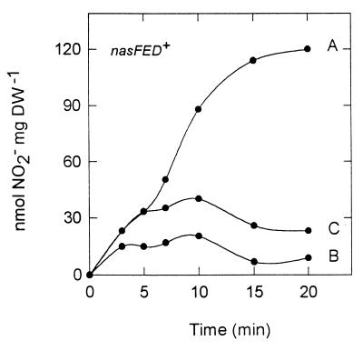 FIG. 5