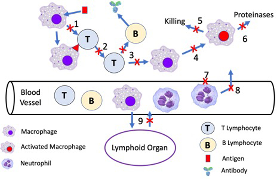 Figure 3.