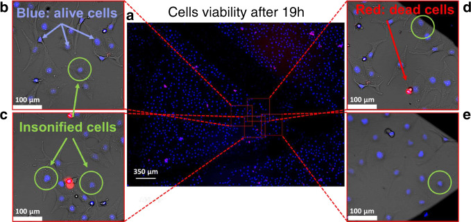 Fig. 4