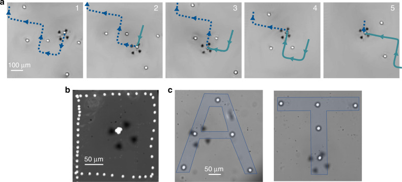 Fig. 3