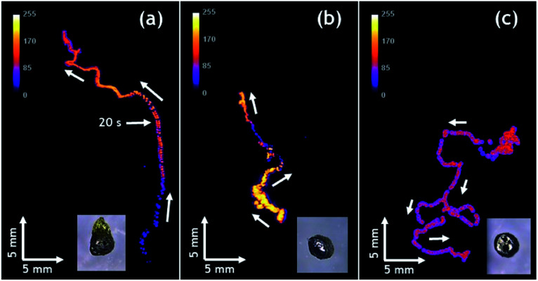 Fig. 4