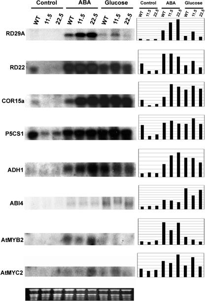 Figure 11.