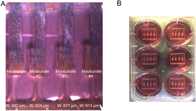 Figure 7.