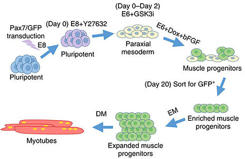 Figure 3.