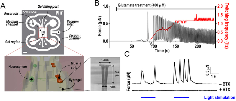 Figure 5.