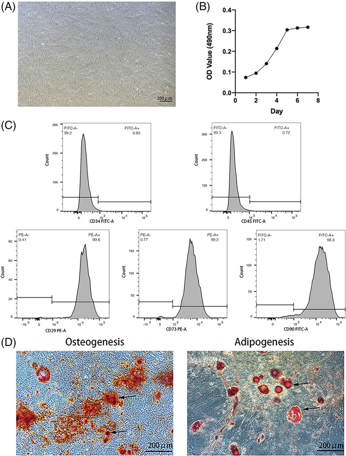 FIGURE 1