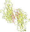 FIGURE 8
