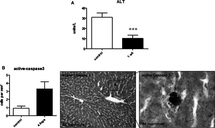 Fig. 6