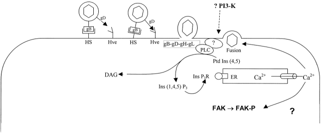 Figure 10.