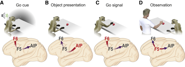 Figure 7